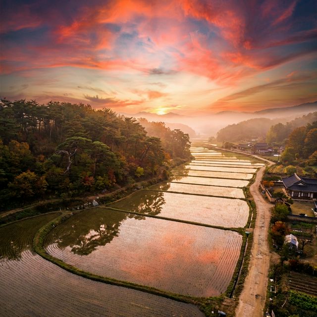 img of 영농형 태양광 설치 금지 지역 총정리 (절대 안되는 땅 특징)