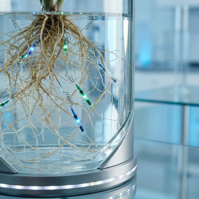 인공지능 양액 센서 시각화 이미지