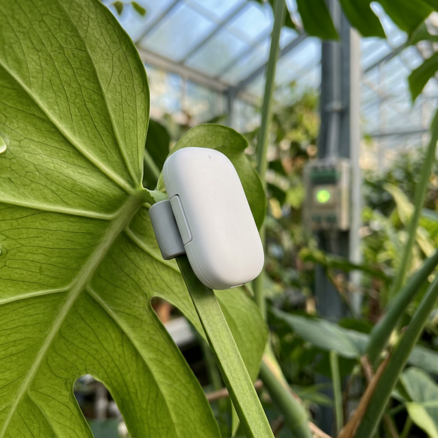 스마트팜 IoT 센서와 연결된 무선 환경