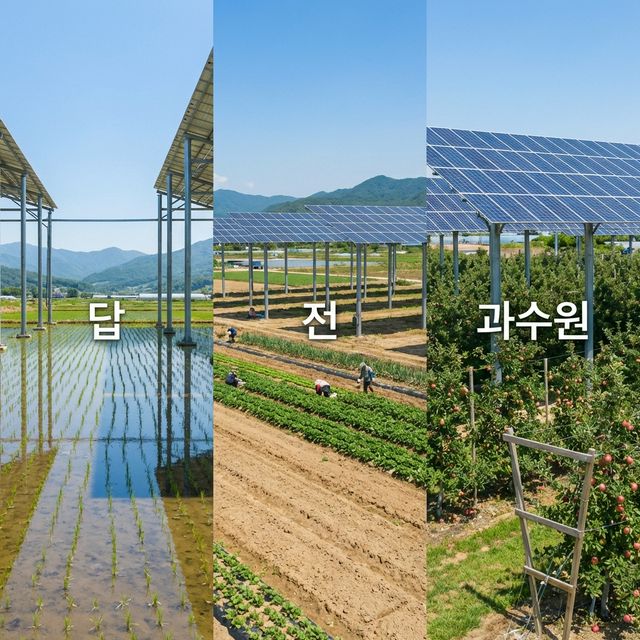 img of 내 땅에도 영농형 태양광 설치 가능할까? (농지/전/답/과수원 기준)